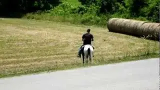 dscf1701.mov 