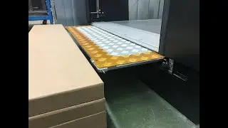 New RF3+ Contactless Step Ramp