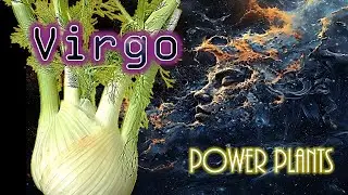 Virgo power plants