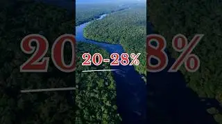 Akela Amazon Jungle 20 Se 30% Oxygen Prapt Karta Hai || Duniya Ke Sabse Bade Jungle Amazon