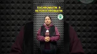 Euchromatin & Heterochromatin For more details contact on 7814622609 or 8837686765