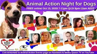 Animal Action Night for Dogs