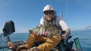 Out here catching KEEPERS!!! Kayak Fishing @ Dana Point Harbor with big Hookup Baits!