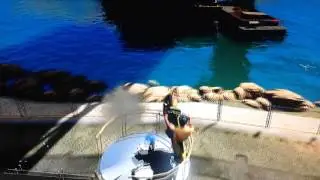 Cryptic X Vengeance TT stunt #2