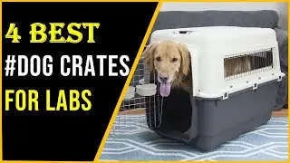 ✅Best Dog Crates for Labs 0f 2023
