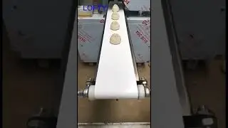 160/300 Baozi Machine--LOFTY MACHINERY #bread #bun