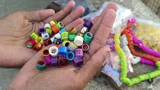 Pigeon Rings with Owner name, photo & mobile number | Kabutar ke Ghunghroo | कबुतर के छल्ले | Price