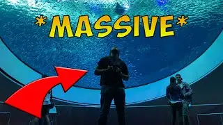 *MASSIVE AQUARIUM* Frost Science Museum Tour!!