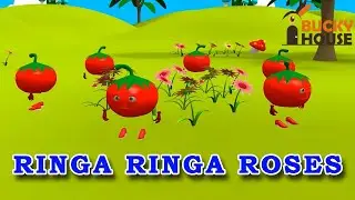 Ringa Ringa Roses | Tomato Animation Song | 3D Kid's Songs & Nursery Rhymes for Children