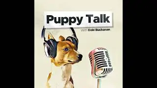 Behavior Issues with Overweight Dogs