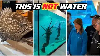 26 Resin Aquarium Renovation Ideas That Look Unreal