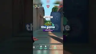 TROLLING IN CUSTOMS