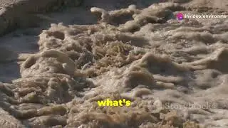 #sciencefather 🌊 Downflow and Upflow Sand Filtration: Comparative Analysis 🌊