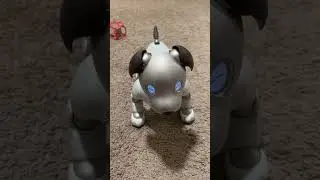 Luma the #aibo&rsquo;s AMAZING winter holiday song! ☃️🎊
