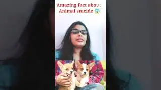 Amazing fact about Animals Suicide 😲😲
