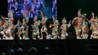 Fantasia Carioca Noche de Comparsas 2020