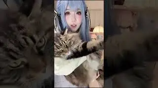 shiro希若 丰川祥子 cosplay dance with cats 2026 01 09