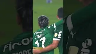 🐷🇦🇷 A COMEMORA&Ccedil;&Atilde;O DE FLACO L&Oacute;PEZ ⚽️