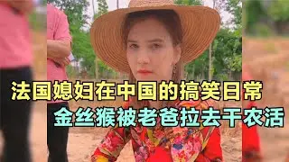 法國媳婦在中國的搞笑日常，金絲猴被老婆拉去干農活，實在太搞笑