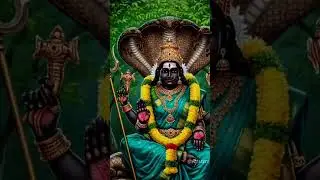 Ammavaru is so kind.If you worship or not she will give blessings on you always##garikapati garu