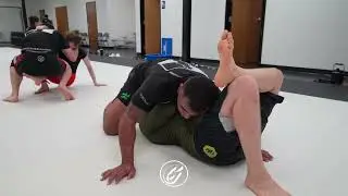 Rodrigo Cabral #6 | Brazilian Fight Factory | Jiu Jitsu Mecca 🥋🥇🤼&zwj;♂️