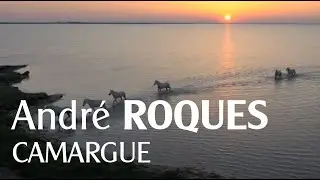 CAMARGUE par Andr&eacute; ROQUES