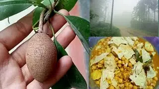 Seku bethai !!   Esebang khuaa khwbdw
