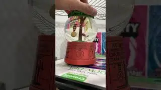 Charlie Brown and Snoopy Snow Globe?