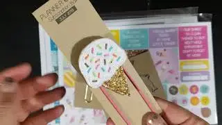 July 2019 Planner Envy Sub Box | 100 Subscriber Giveaway?