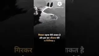 eagle attitude ringtone motivation 🦅