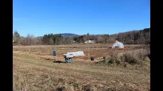 Full Steam Ahead For Winter Farming - End Of November Updates (Heavy Mulches On Garlic Explained)