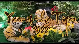 Tết Nguy&ecirc;n Đ&aacute;n Nh&acirc;m Dần 2022 - Lunar New Year - The Year of Tiger