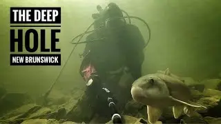 SCUBA Diving at the Deep Hole | The Search for Salmon and Lampreys
