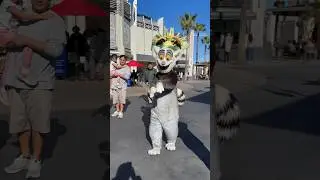 King Julien likes to Move IT Move IT! #madagascar #cosplay #universalstudios #short