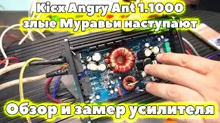 Kicx Angry Ant 1.1000 evil Ants are coming. Review and measurement of the amplifier.