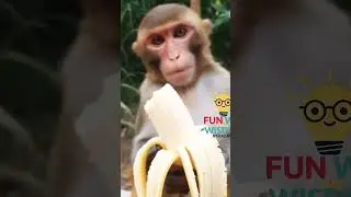 Best Funny Moments #shortsEpic Funny Video #viralshorts #comedy #funnymoments #fails #humor