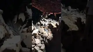 Gujraat Earthquake 2001 scenes made by Smritivan Earthquake Memorial and Museum.Must Visit!
