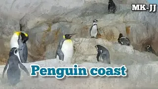 PENGUIN COAST