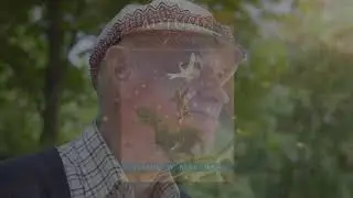 Introducing 