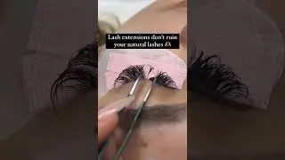 Do eyelash extensions damage your natural lashes? Lash HEALTH Eye lash growth