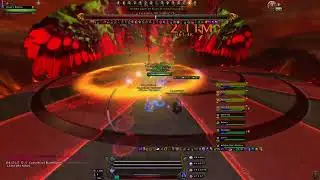 Neverwinter (PC) - MSOD | Bard healer