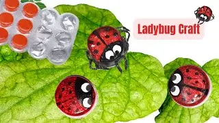 Ladybug Craft || Medicine Wrapper Craft || Best Out of Waste || Tablet Cover Craft
