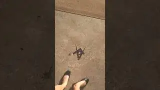 Масонская нечисть