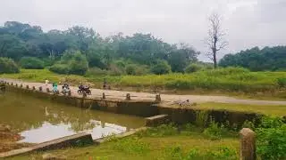 Nagoda