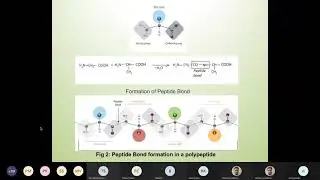Structural Bioinformatics: Protein Modelling and Applications