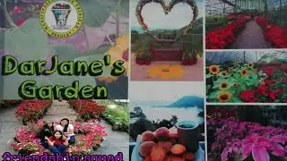DARJANE'S GARDEN FLOWER FARM | FRIENDSHIP SQUAD