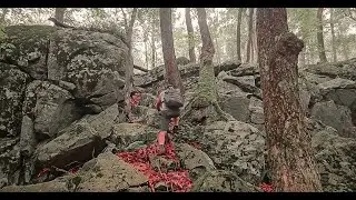 Unexplored Sheep Mountain !  Ancient Stone Chambers Exploration Continued...