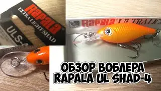 ОБЗОР ВОБЛЕРА RAPALA UL SHAD 4