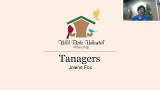 Tanagers