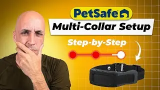 PetSafe Guardian GPS: Multi-Collar Setup That Actually Works